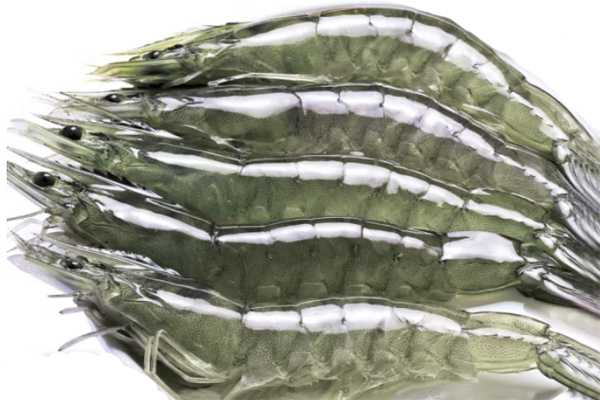 高精度分光測色儀用于海鮮的顏色品質檢測