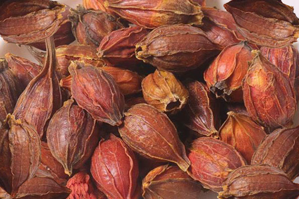 色差儀在中藥材梔子顏色檢測中的應用