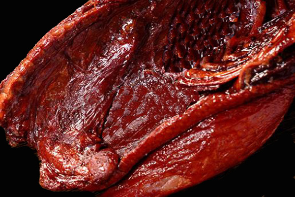 分光測色儀在醬鴨色澤測定與品質管控中的應用