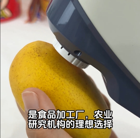YS3060分光測色儀在芒果顏色色差測量中的應用