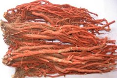 色差儀測定丹參顏色差異