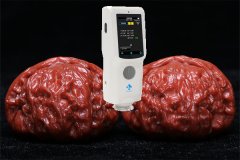 色差儀檢測(cè)文玩核桃的顏色